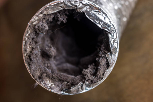 Best Air Duct Cleaning Near Me  in Pomeroy, OH